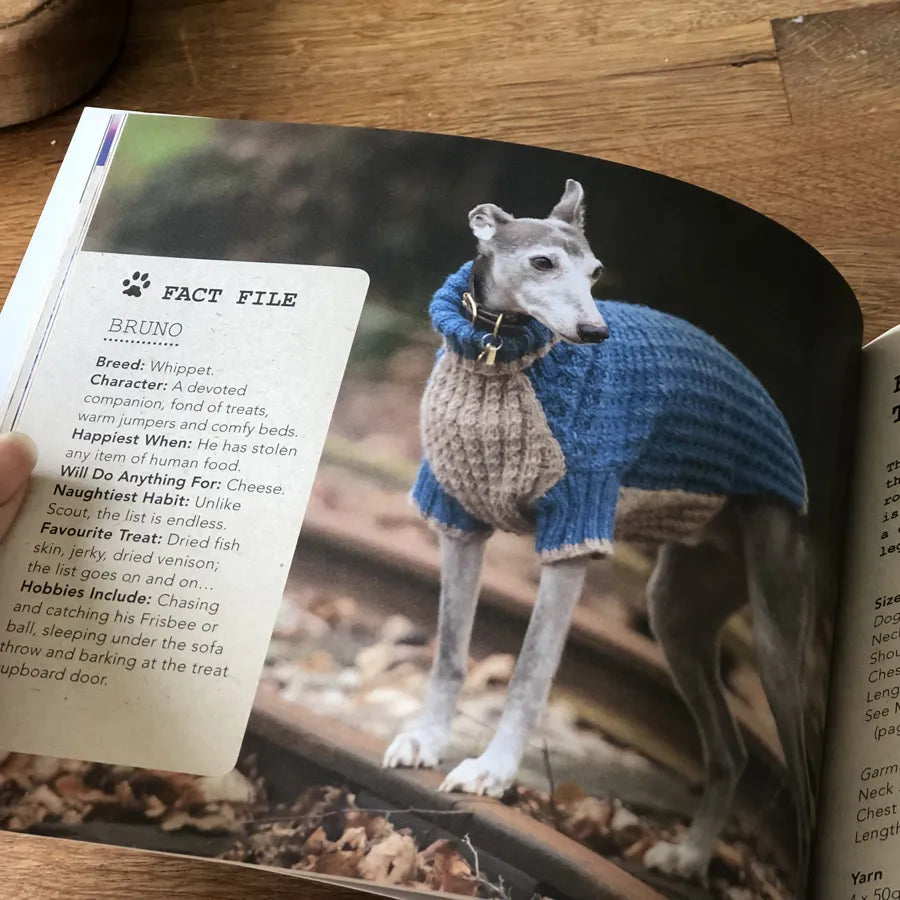 Dogs in Jumpers book | 12 practical patterns for all pouches
