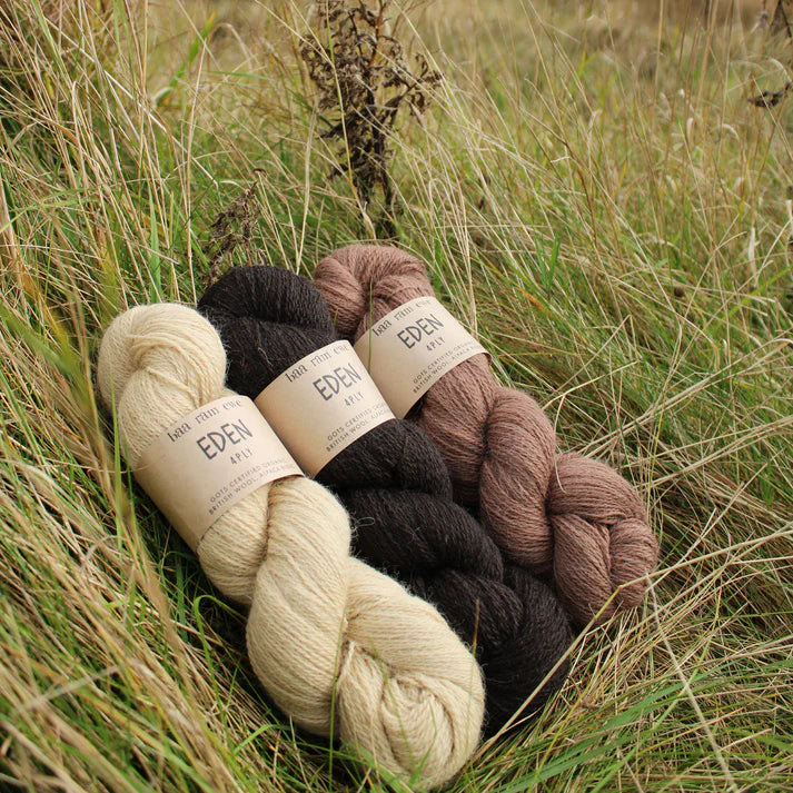 Eden 4PLY from Baa Ram Ewe | British wool & Alpaca