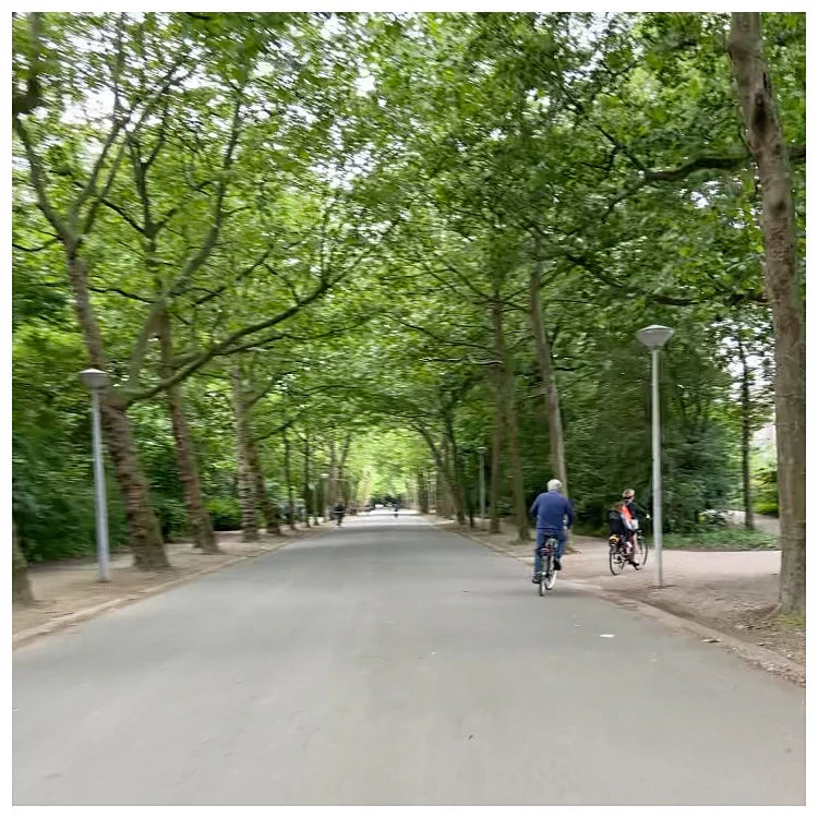 BFL DK from Mamie & Florrie | Vondelpark
