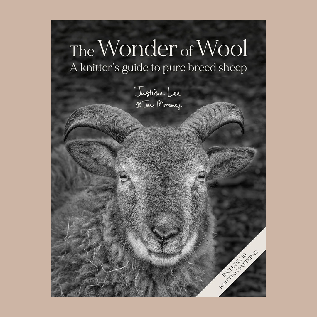 The Wonder of Wool | Justine Lee & Jess Morency