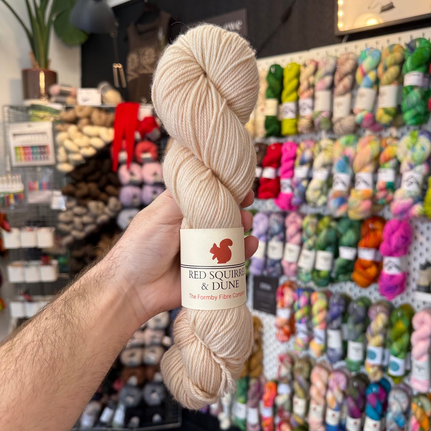 Merino DK from Red Squirrel & Dune | Pixie Positivity