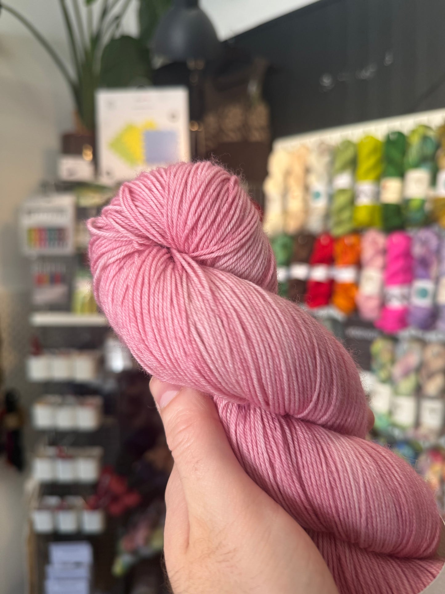 SOCK/4PLY from Red Squirrel & Dune | Bella's Blossom