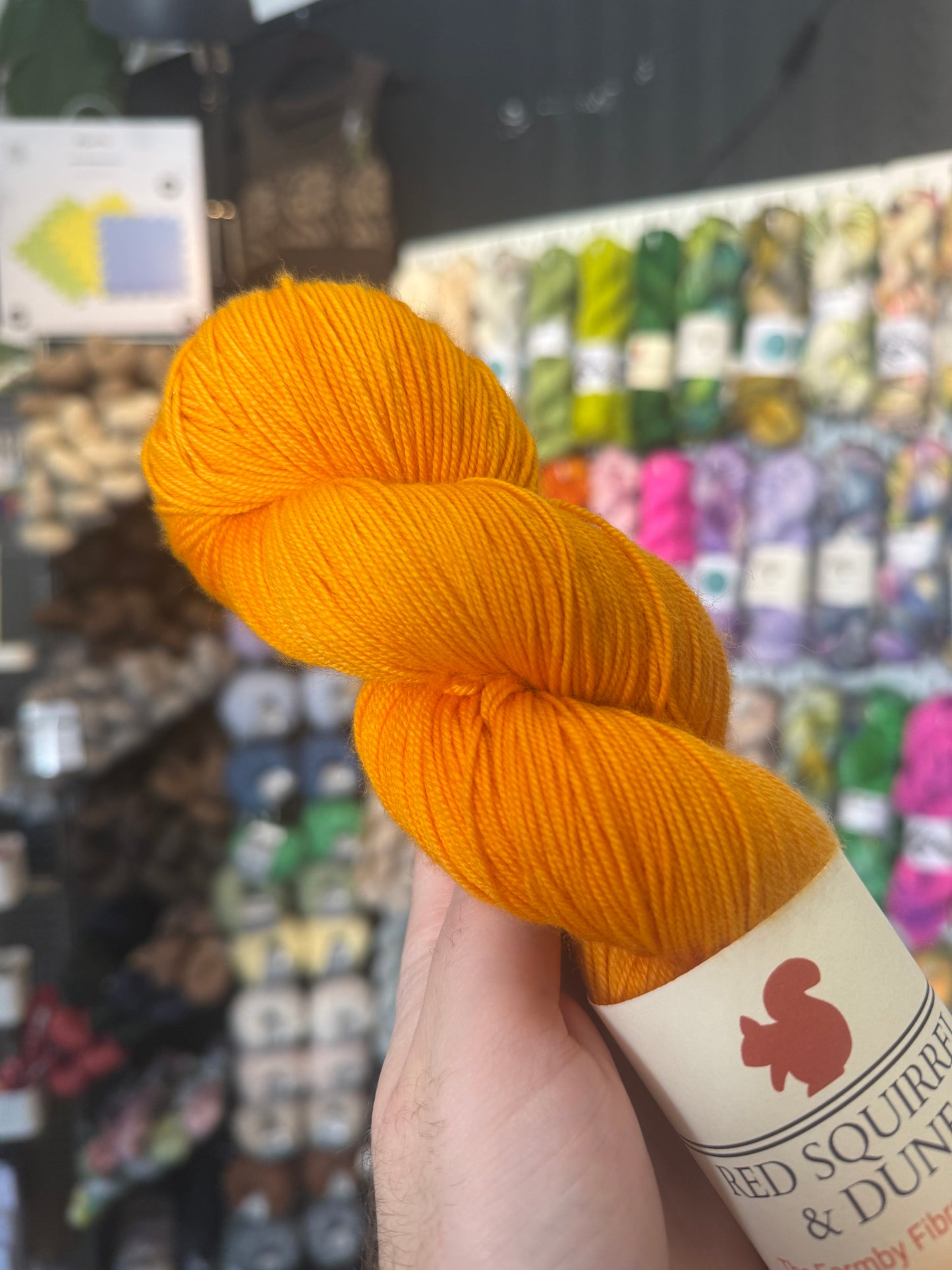 SOCK/4PLY from Red Squirrel & Dune | Clementine