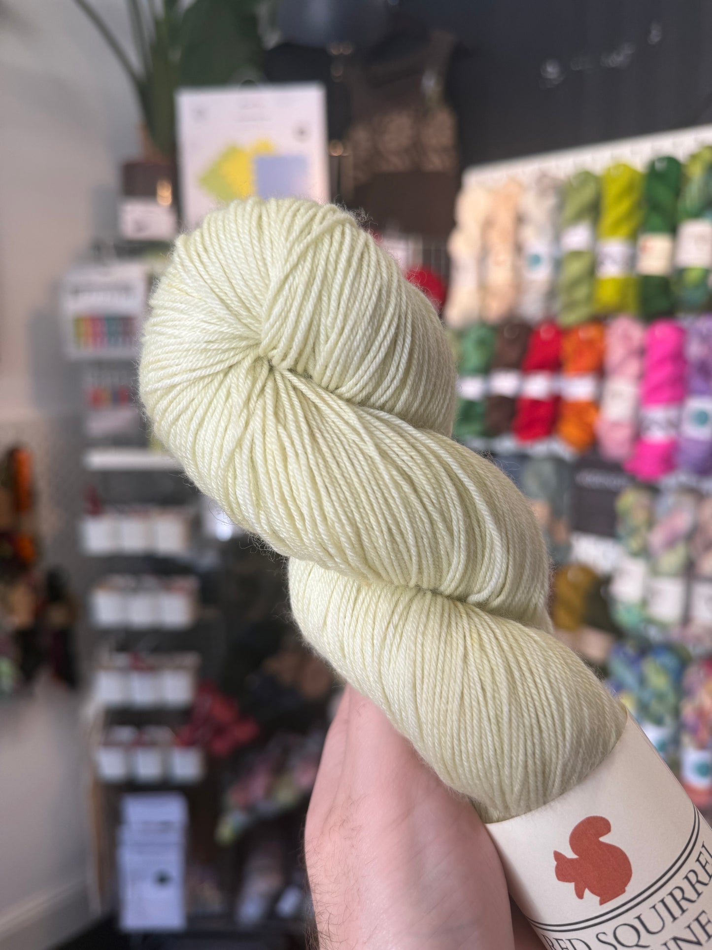 SOCK/4PLY from Red Squirrel & Dune | Mojito