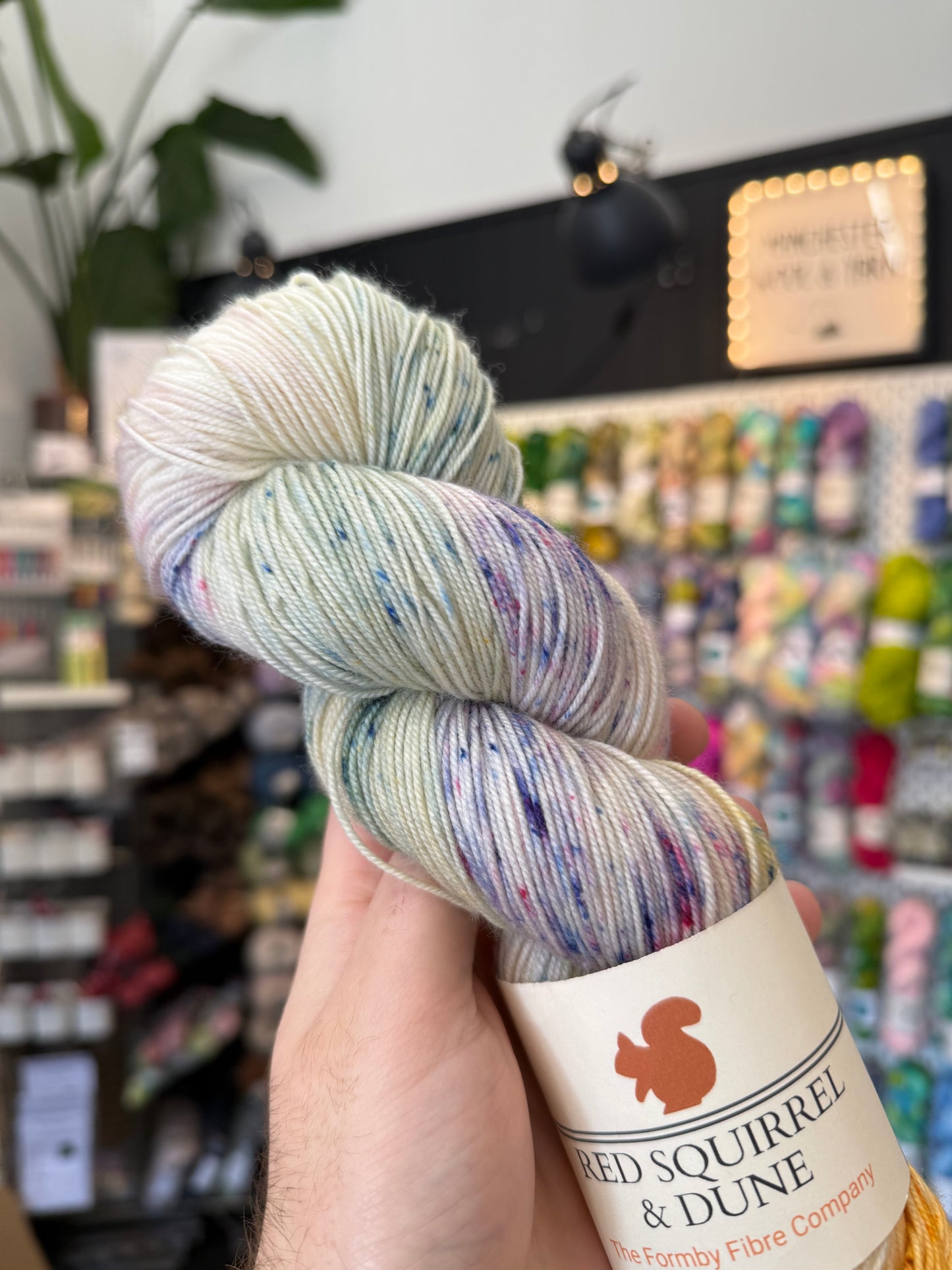 SOCK/4PLY from Red Squirrel & Dune | December Sunrise
