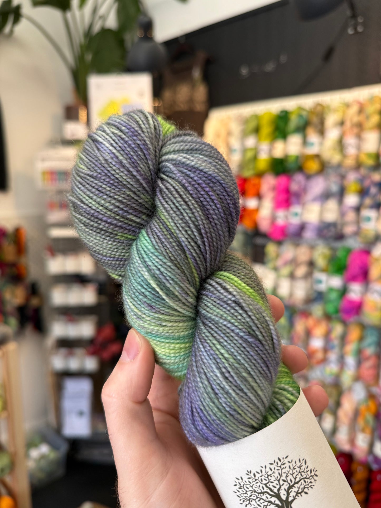 4ply/ SOCK from Maison d'Olive | Wisteria Vines