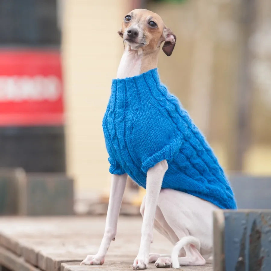 Dogs in Jumpers book | 12 practical patterns for all pouches