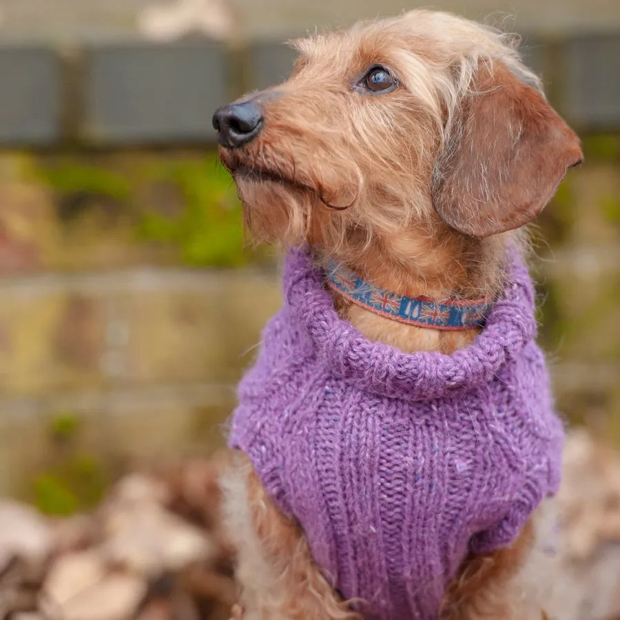 Dogs in Jumpers book | 12 practical patterns for all pouches