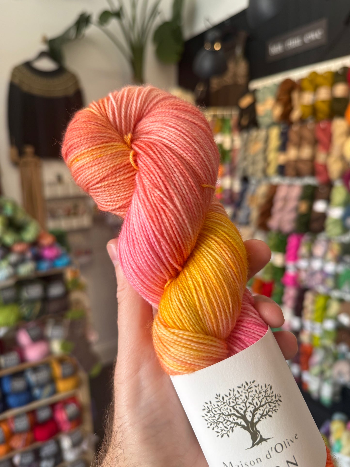4ply SOCK from Maison d'Olive | Sunset Sorbet