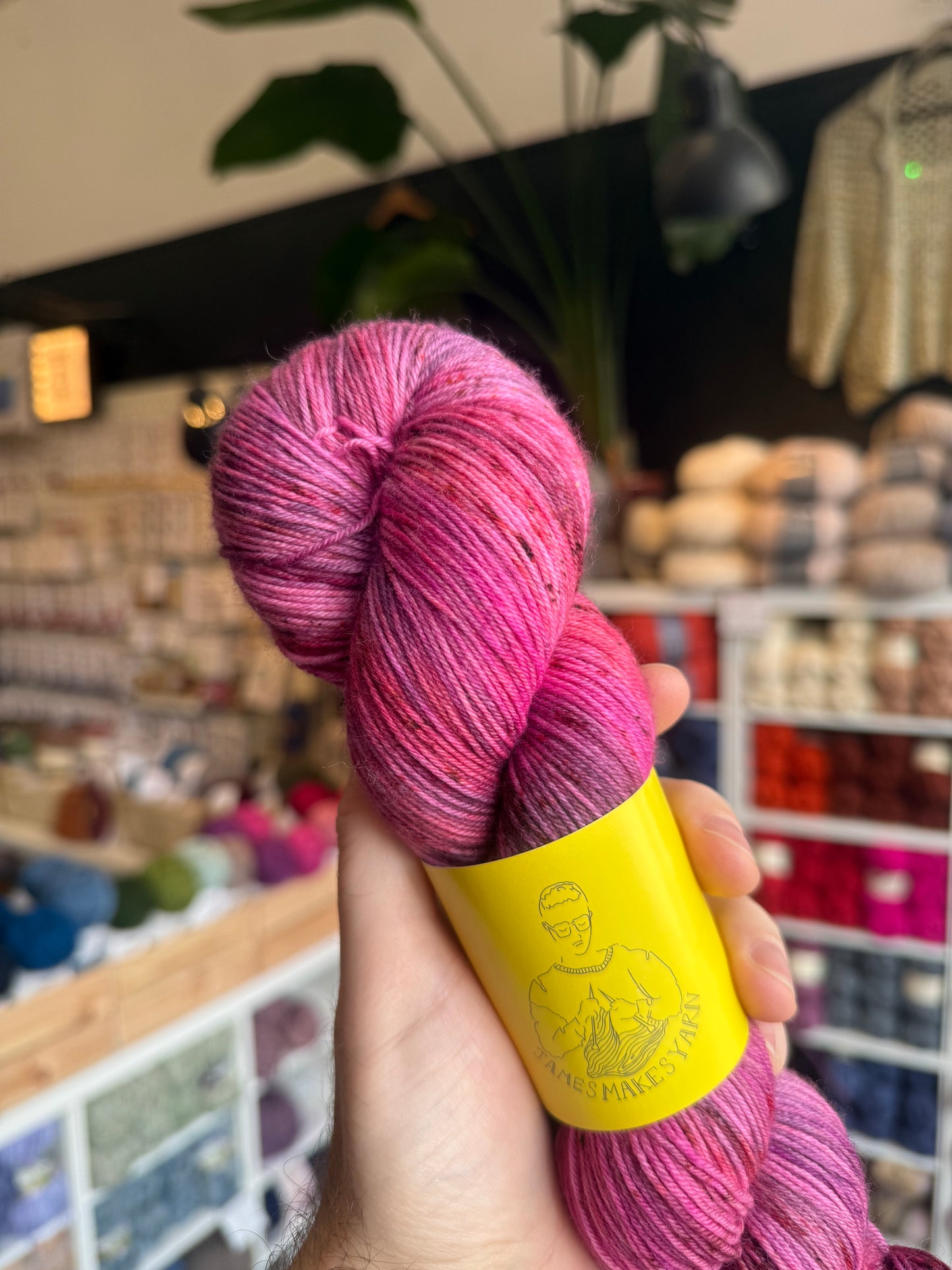Merino 4PLY sock yarn from James Makes Yarn | Plum Pudding