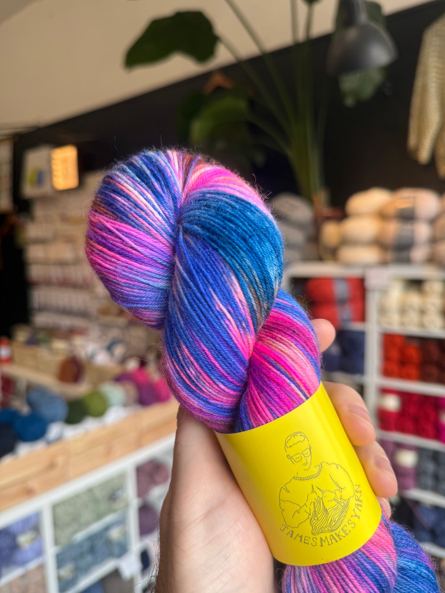 BFL 4PLY sock yarn from James Makes Yarn | Enchanted