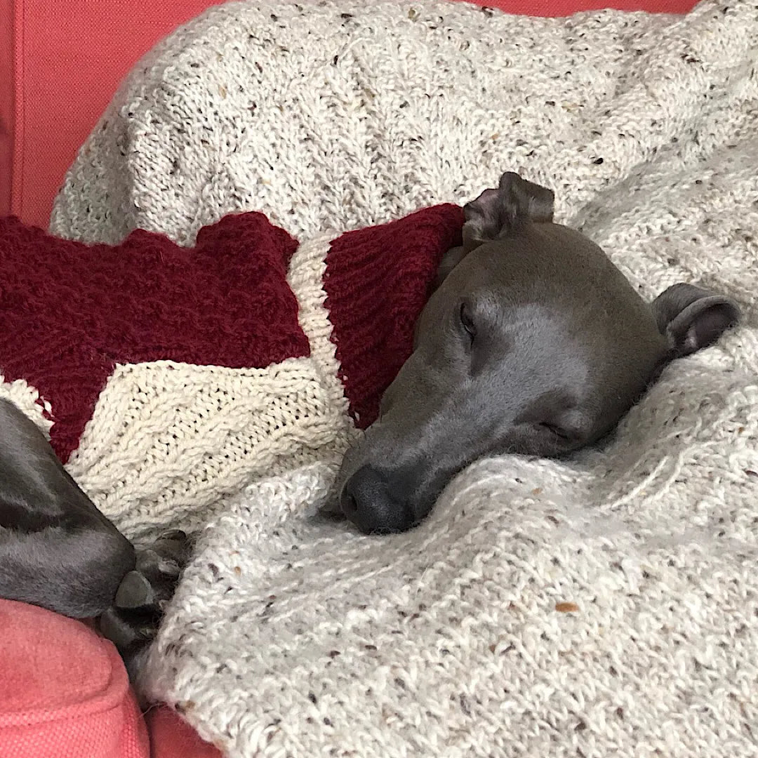 Dogs in Jumpers book | 12 practical patterns for all pouches