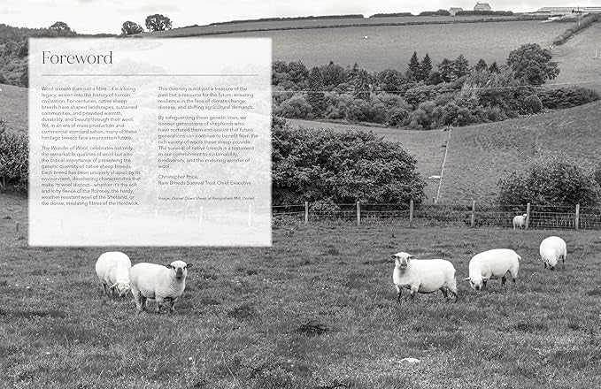 The World of Wool
