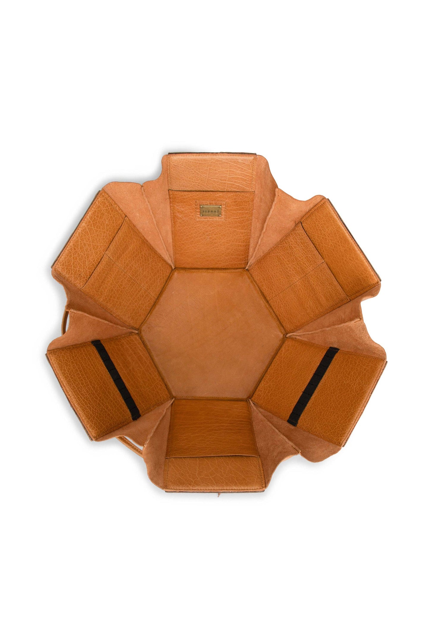 Evita XL Project Box