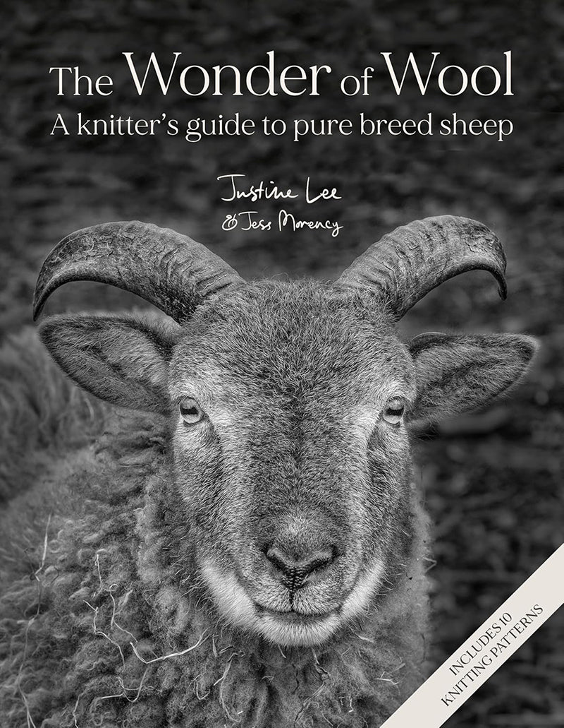 The World of Wool