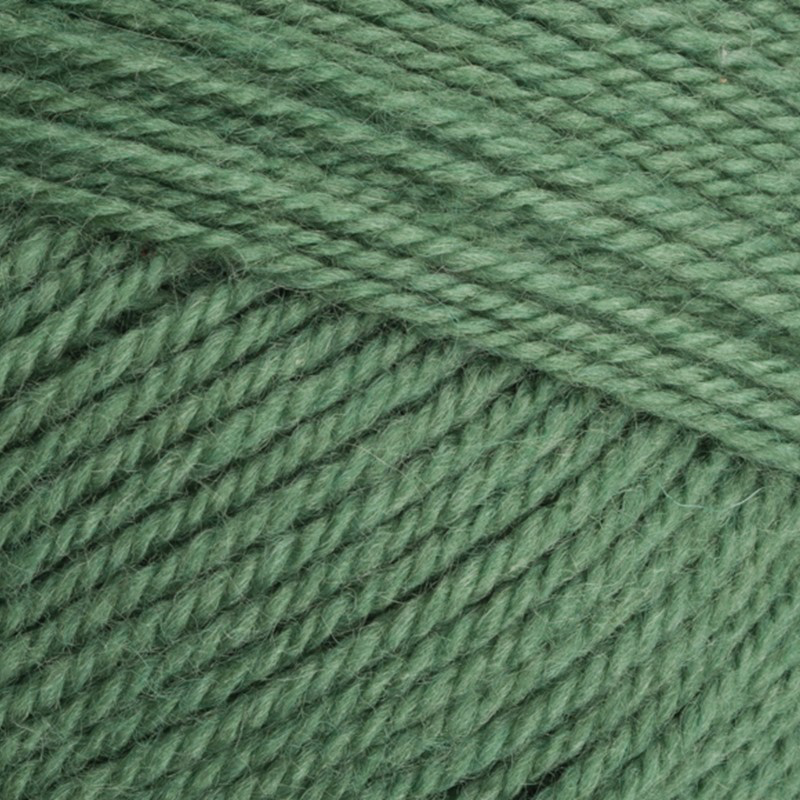 Stylecraft Special Aran with Wool | 400g
