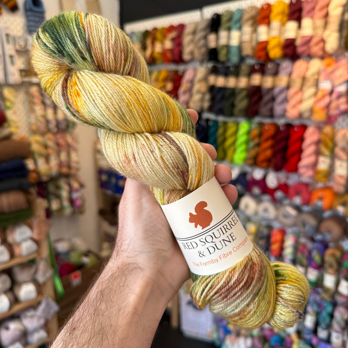 BFL, Silk, Cashmere 4PLY | The Allotment