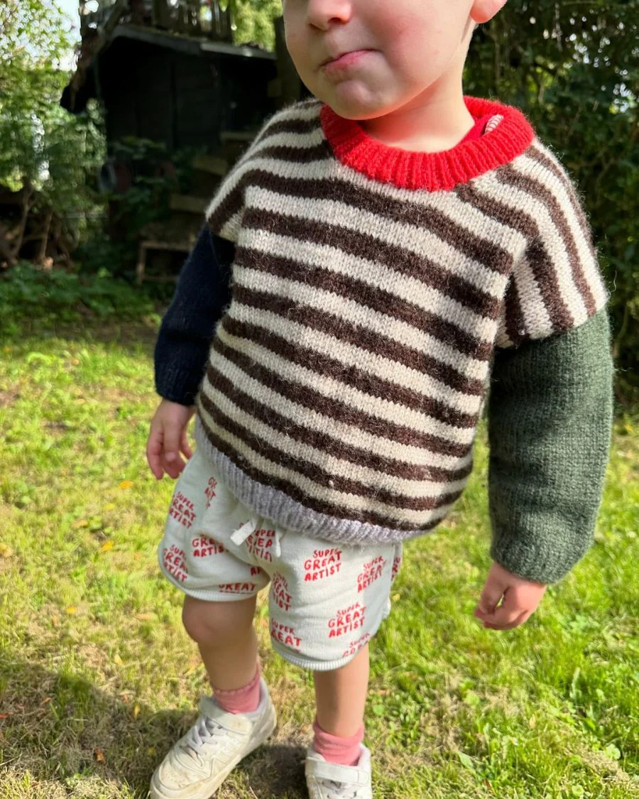 Holger Sweater | Petite Knit patterns