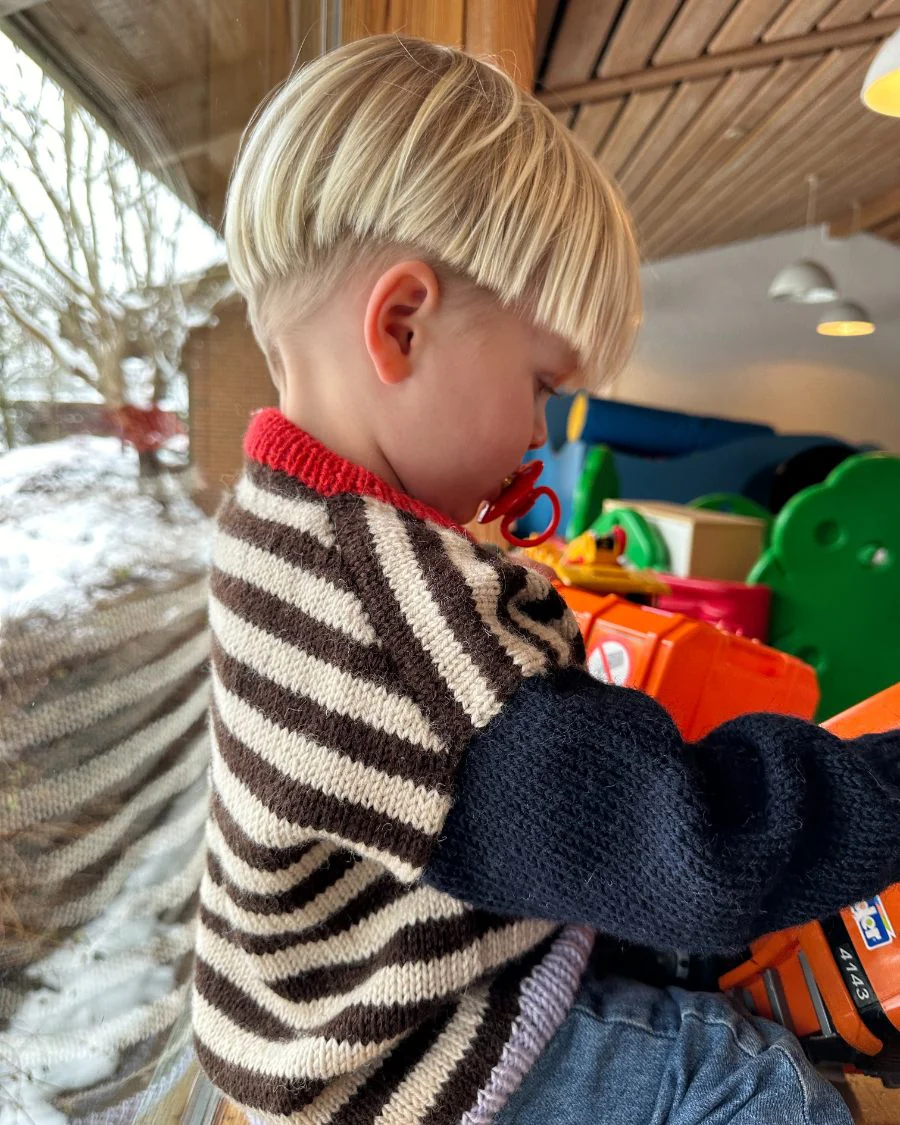Holger Sweater | Petite Knit patterns