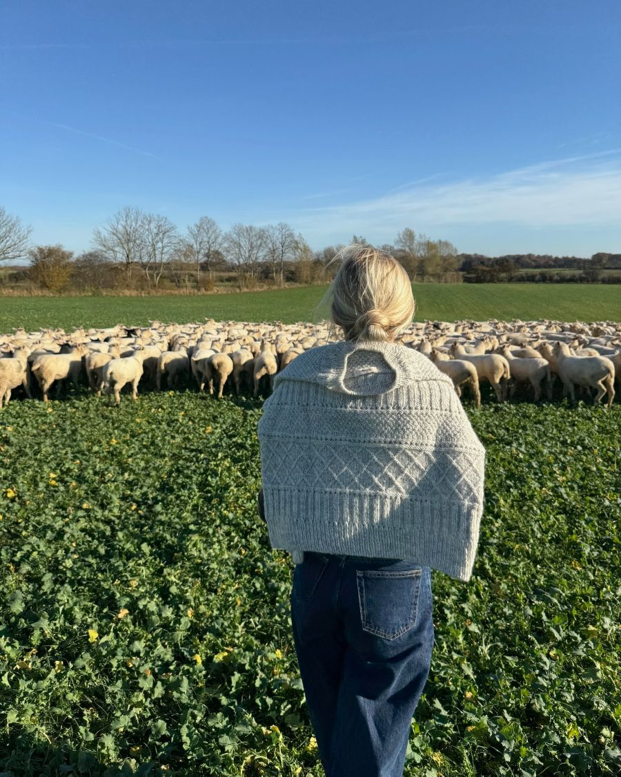 Ingrid Sweater | Petite Knit patterns