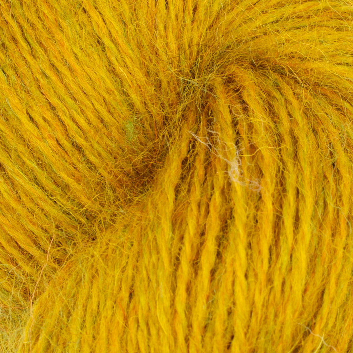 Mowool | Baa Ram Ewe