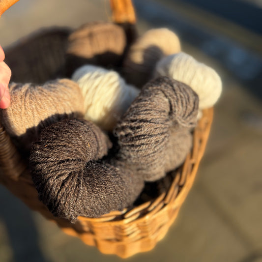 Natural Undyed Welsh Wool | Cwmchwefru Wool