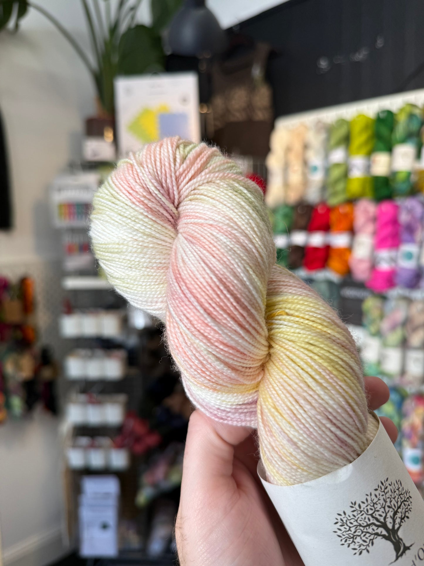 4ply/ SOCK from Maison d'Olive | Peach kisses