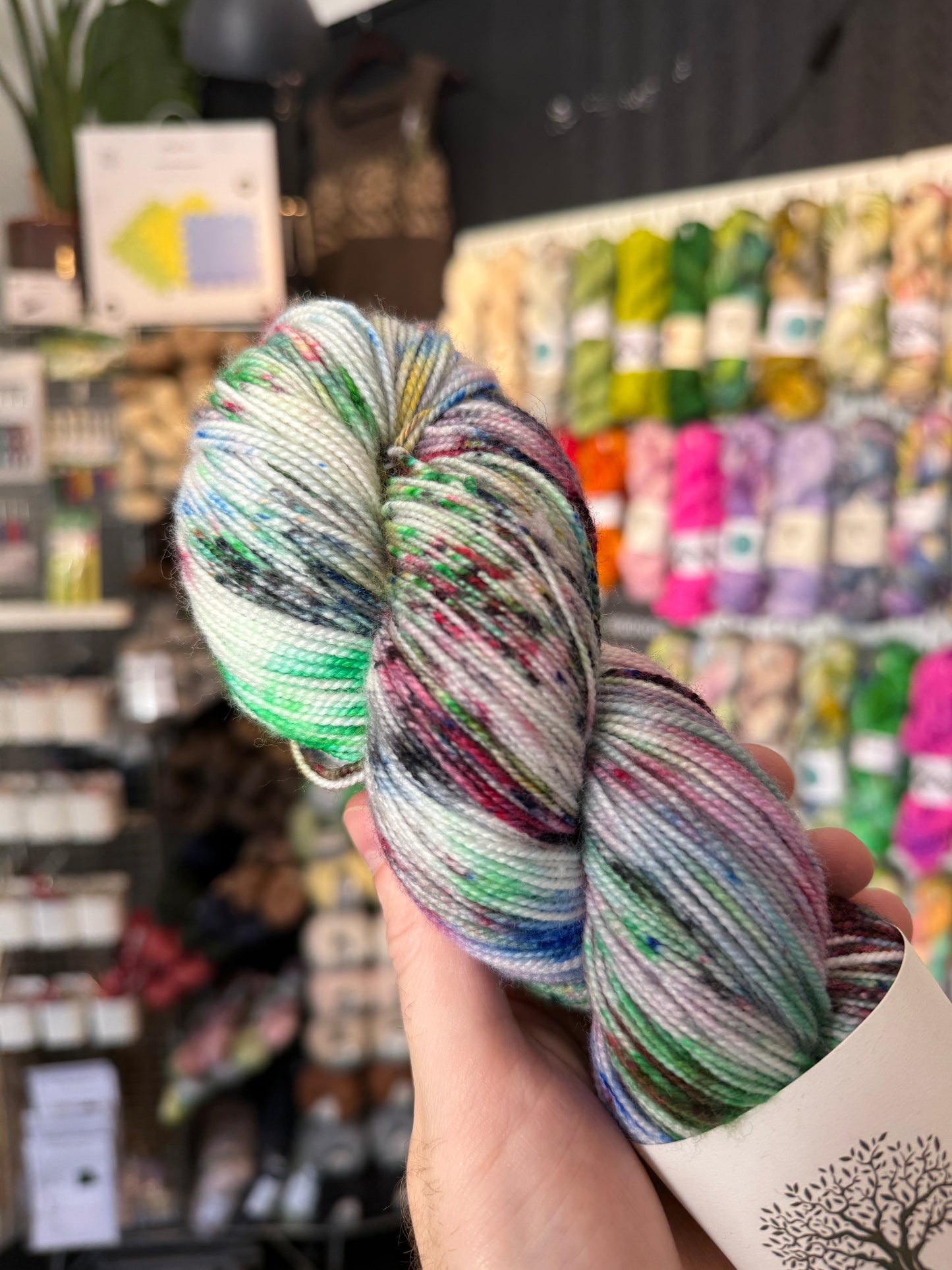 4ply/ SOCK from Maison d'Olive | France 2024