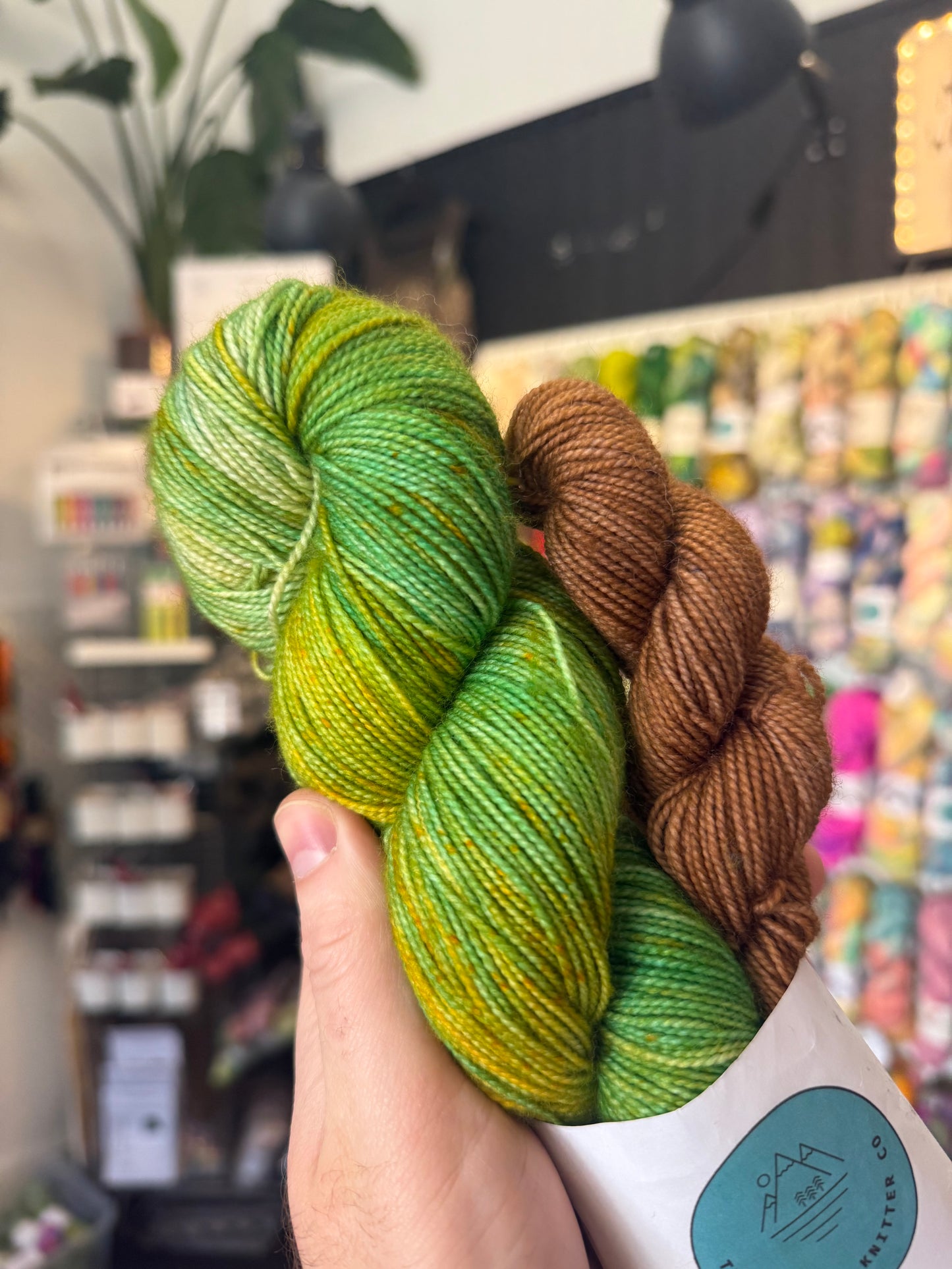 Sock set from The Curious Knitter Co | Into the wild