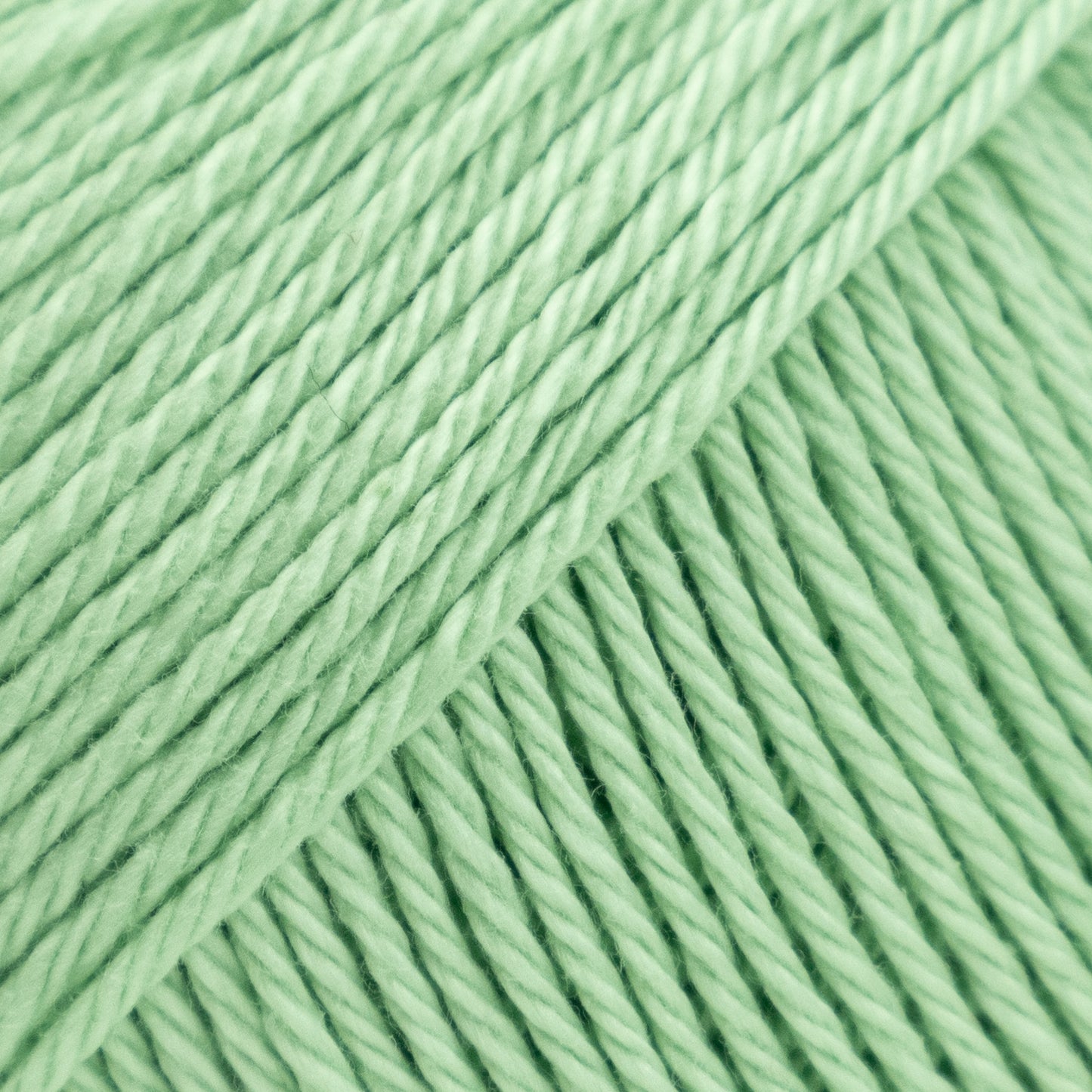 100% Cotton | Palermo from Luca_S yarns