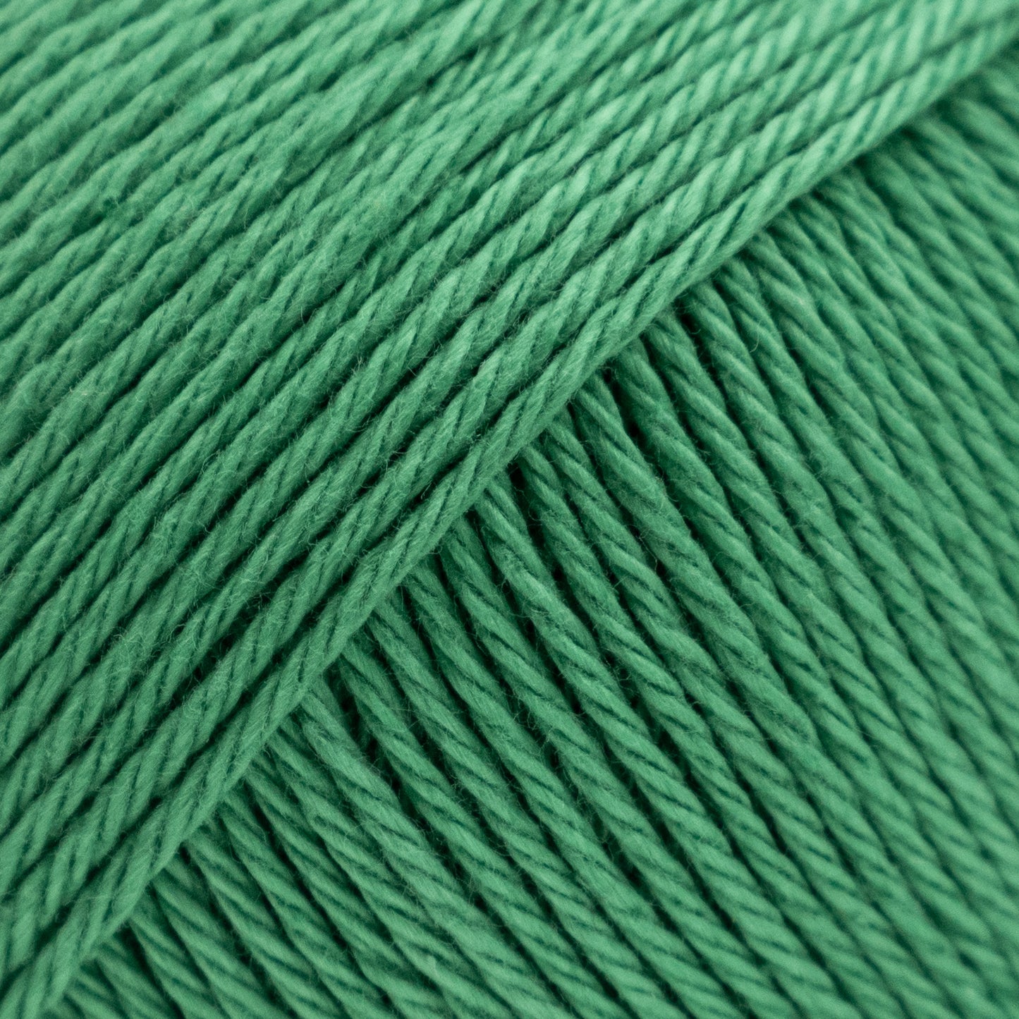 100% Cotton | Palermo from Luca_S yarns