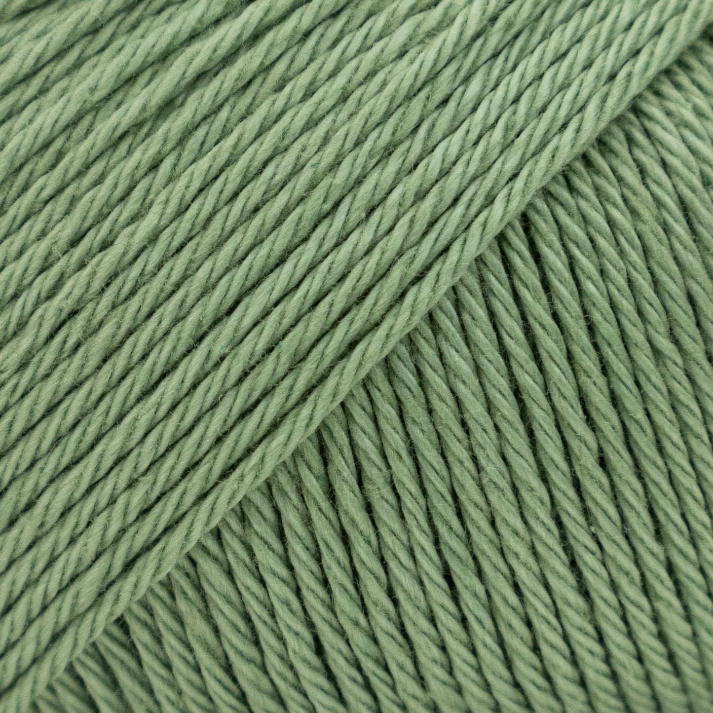 100% Cotton | Palermo from Luca_S yarns