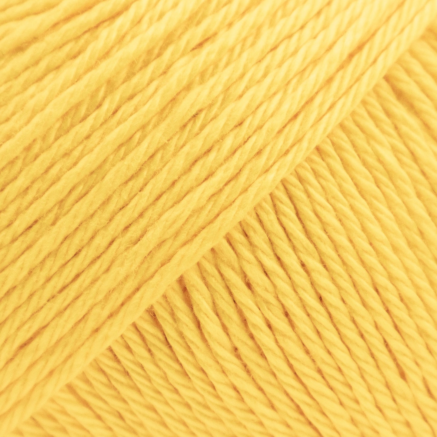 100% Cotton | Palermo from Luca_S yarns